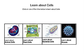 Learn About Cells